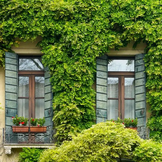 Eigentumsverhältnisse bei Immobilien in Berlin Britz