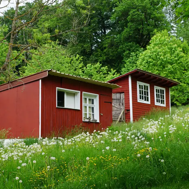 Sonderformen zum wohnen in Potsdam Drewitz